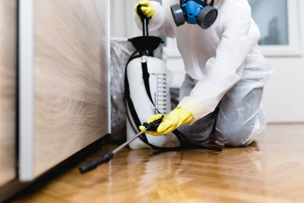 Best Mosquito Control Services  in East Newark, NJ