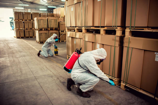 Best Residential Pest Control  in East Newark, NJ