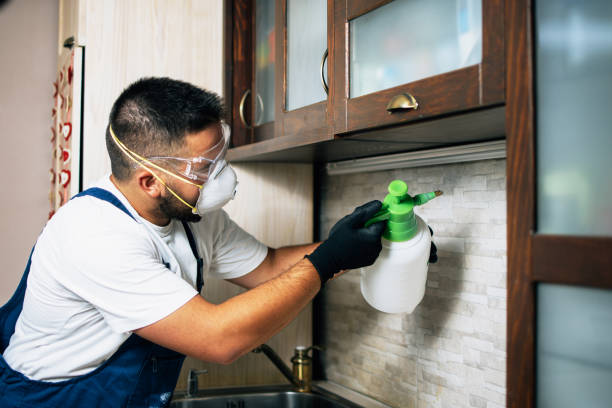 Best Wildlife Control Services  in East Newark, NJ