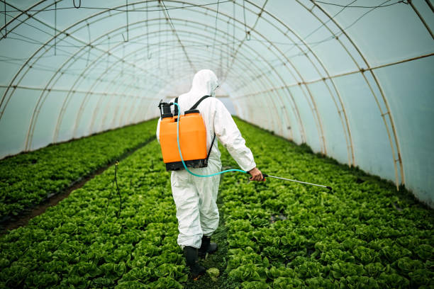 Pest Prevention Services in East Newark, NJ