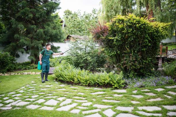 Best Best Pest Control Companies  in East Newark, NJ