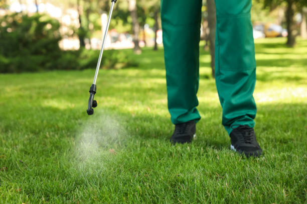 Best Affordable Pest Control Services  in East Newark, NJ