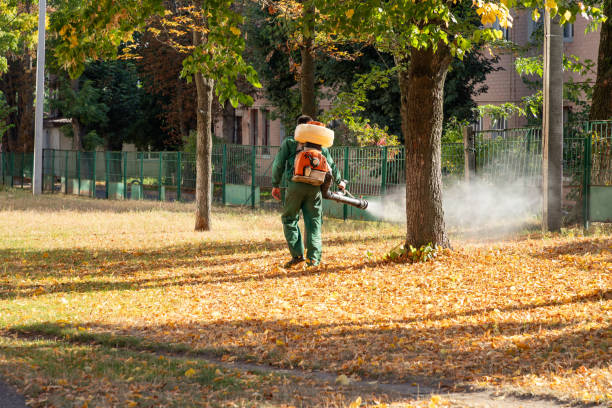 Best Wasp Removal Services  in East Newark, NJ