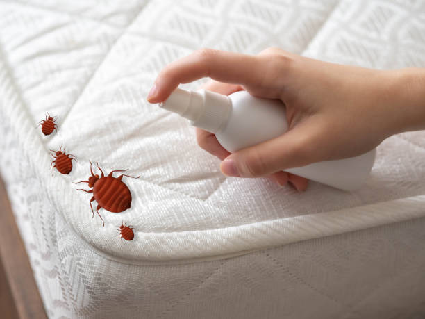 Best Local Pest Control Services  in East Newark, NJ