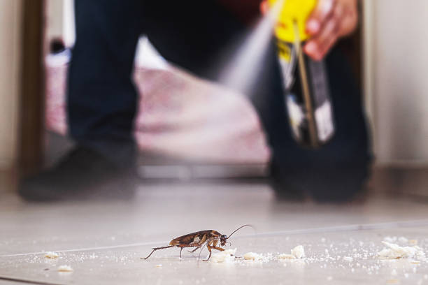 Best Commercial Pest Control Services  in East Newark, NJ