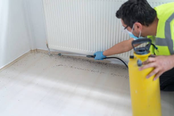 Best Flea Control Services  in East Newark, NJ