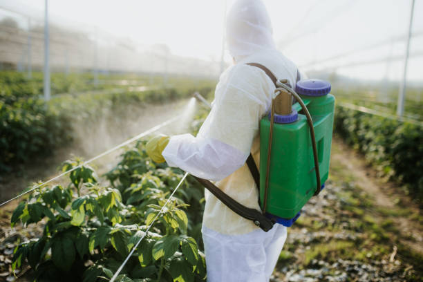 Best Pest Prevention Services  in East Newark, NJ